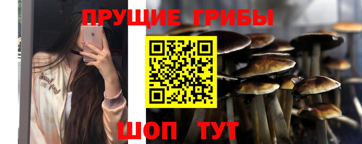 Спасск-Дальний  Галлюциногенные грибы GOLDEN TEACHER  Вход с VPN 